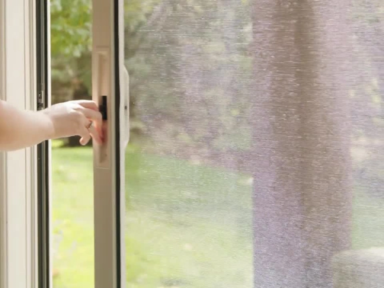 Eryaman Kedi Sinekliği Sineksiz Akşamlar Başlasın