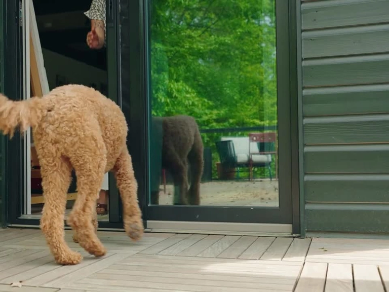 Eryaman Menteşeli Sineklik Gizlilik İçin İnce Yapı Dışarıdan Görünmeyi Engeller