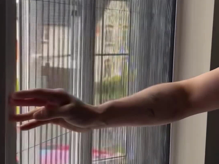 Eryaman Pileli Sineklik Sineklere Veda Zamanı